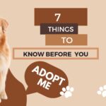 7 things to know about dogs