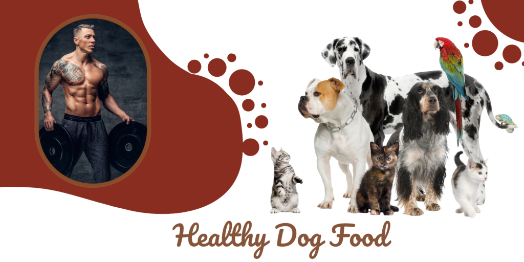 7 things to know about dog healthy lifesyle